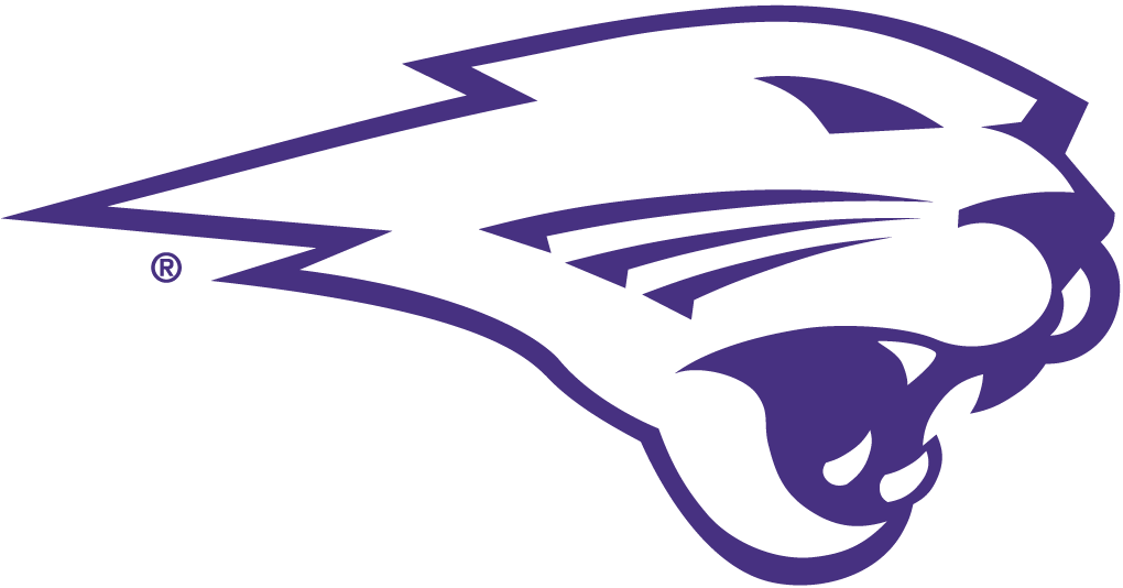 Northern Iowa Panthers 2002-Pres Partial Logo v2 iron on transfers for clothing